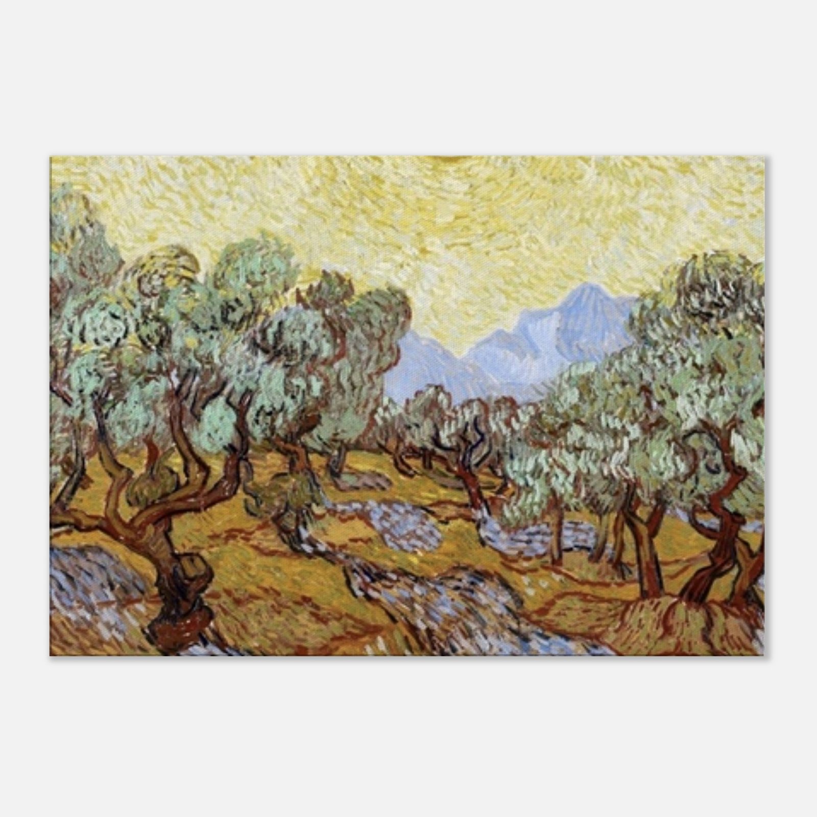 5d4f72cd-2972-4d38-99be-f6e386f1d0dd