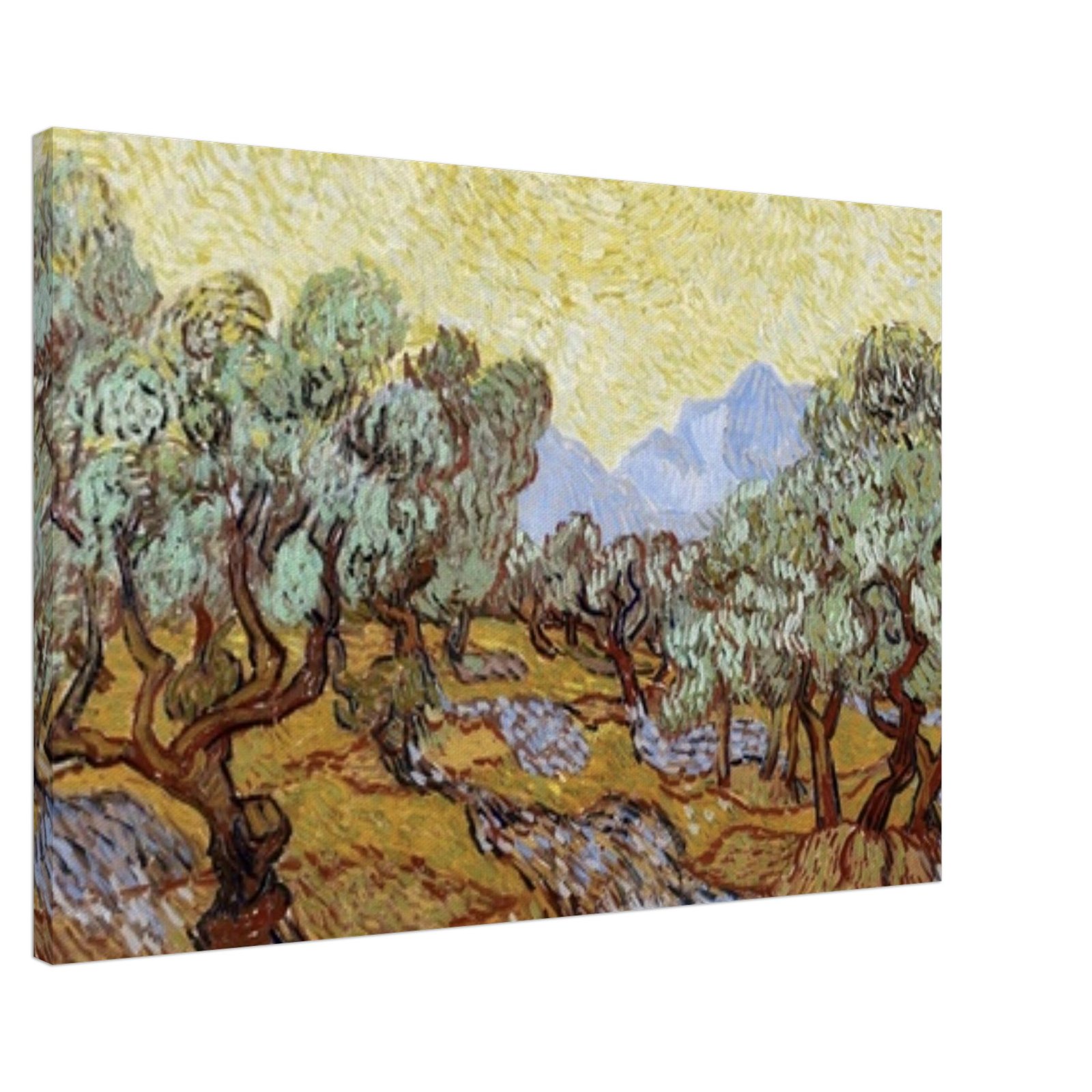 92087976-8513-43c8-bbb3-9b81aa7b88eb