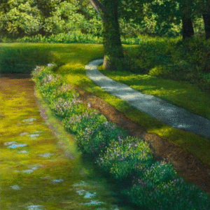 Landscapes